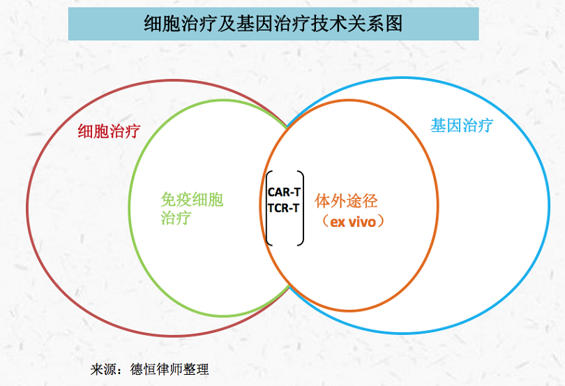 上配图之细胞治疗与基因治疗关系图.png